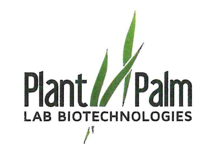 Logotipo Plant & Palm Lab Biotechnologies (PPLB).